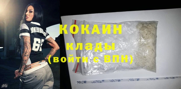 прущий лед Ельня