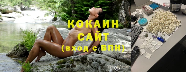 прущий лед Ельня