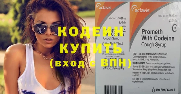 прущий лед Ельня