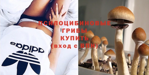 МДПВ Елизово