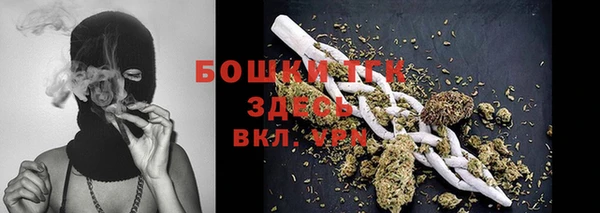 МДПВ Елизово