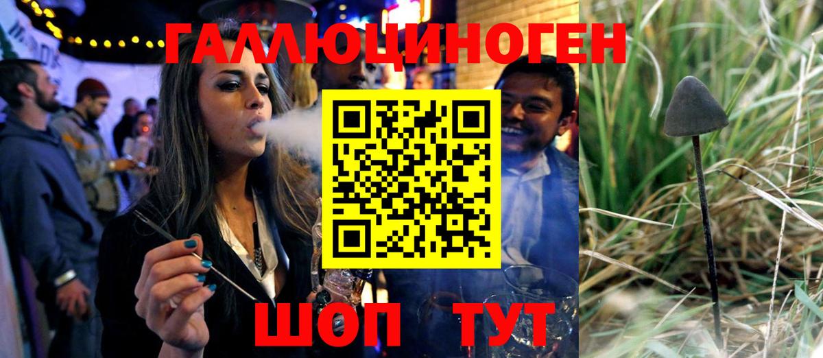 Сланцы  Псилоцибиновые грибы Psilocybine cubensis  Вход с VPN 